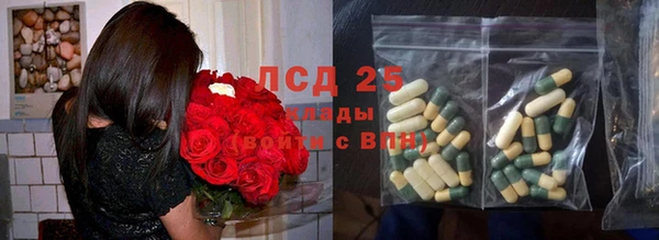 молекула духа Туринск