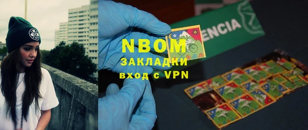 молекула духа Туринск