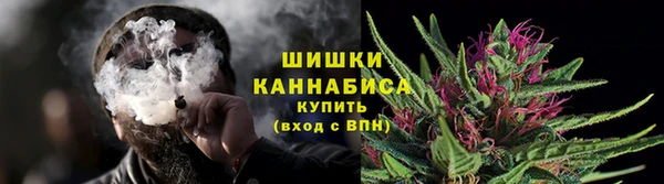 молекула духа Туринск