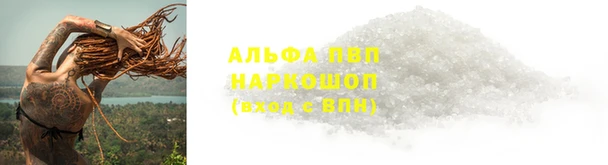 ПСИЛОЦИБИНОВЫЕ ГРИБЫ Тихорецк