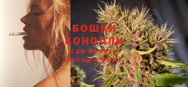молекула духа Туринск