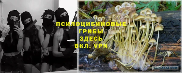 ПСИЛОЦИБИНОВЫЕ ГРИБЫ Тихорецк