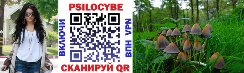 Купить закладки  Касимов  Псилоцибиновые грибы Psilocybine cubensis 